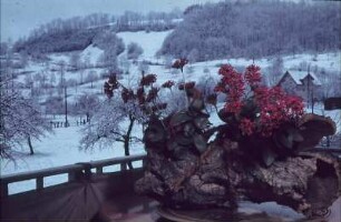 Wehr. Blick von der Veranda in winterliche Landschaft