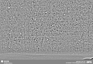 Wasserzeichen S.15_16