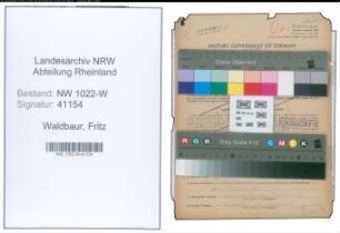 Entnazifizierung Fritz Waldbaur , geb. 31.08.1896 (Kaufmann)