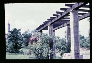 Tiergarten b. Bellevue 3.7.55.