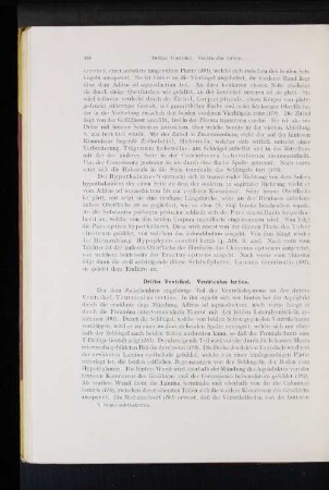 Dritter Ventrikel. Venticulus tertius.