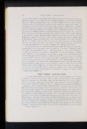 Dritter Ventrikel. Venticulus tertius.