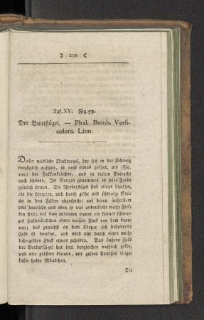 Taf. XV. Fig. 99. Der Buntflügel. - Phal. Bomb. Verficolora. Linn.