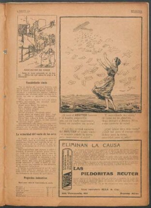 La velocidad del vuelo de las aves