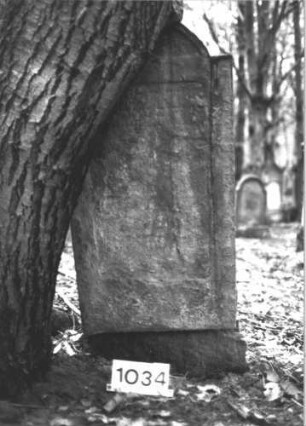 Grabstein 1034 (Index: 99899631) Material: Sandstein Zustand: völlig verwittert Maße HxBxT: 135x62x9 cm Beschreibung: Stele mit eingezogenem Rundbogenabschluss, aufgesockelt?, abgebrochen? Besonderheit: vermutete Identifizierung nach Gräberverzeichnis: Grabstein 1034