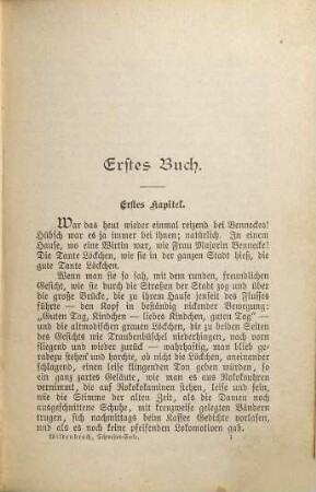 Schwester-Seele : Roman