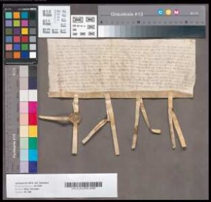 Raseir v. d. Dorneborg genannt Quadart schwört dem Grafen von Berg und Ravensberg Urfehde.
