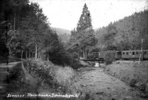 Eisenbahn auf der Preßnitzbrücke, Nähe Andreas-Gegentrum-Stolln