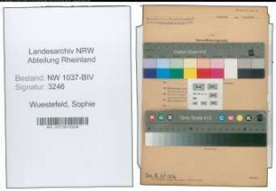Entnazifizierung Sophie Wuestefeld , geb. 15.12.1907 (Arbeitsvermittlerin)