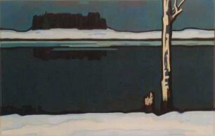 Teichlandschaft im Winter (II)