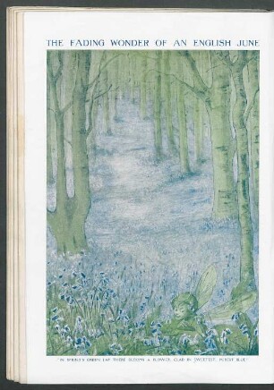Tafel: The fading wonder of an English June