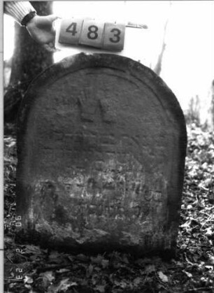 Grabstein 483 (Index: 100115515) Material: Sandstein Zustand: stark verwittert mit erheblichem Textverlust Maße HxBxT: 42x41x9 cm Beschreibung: Stele mit Rundbogenabschluß, eingetieftes Schriftfeld Symbolik: Cohanim-Hände: Grabstein 483