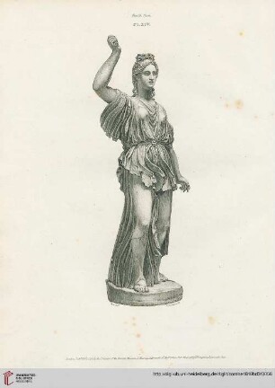 Plate XIV