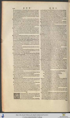Einträge zu Buchstabe Q