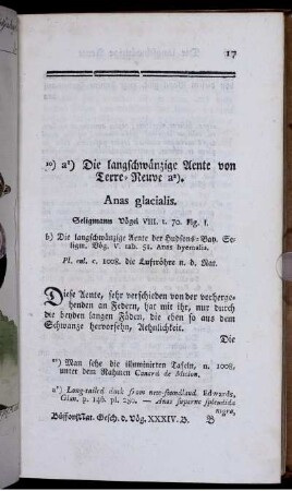 Die langschwänzige Aente von Terre-Neuve. Anas glacialis.