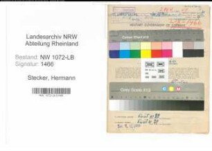 Entnazifizierung Hermann Stecker , geb. 20.08.1899 (Haendler)