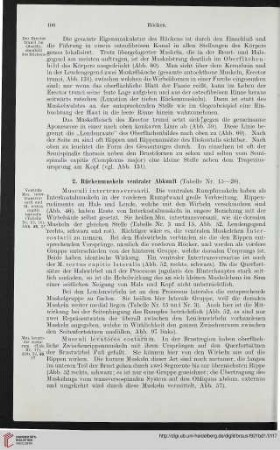2: Rückenmuskeln ventraler Abkunft