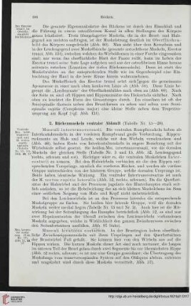 2: Rückenmuskeln ventraler Abkunft