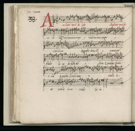 38. Audivi vocem de celo