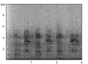 Hausesel | Equus asinus f. asinus - Lautfolge