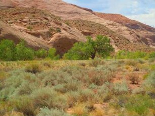 Landschaft in der Gegend der Irish Canyons am Highway 95