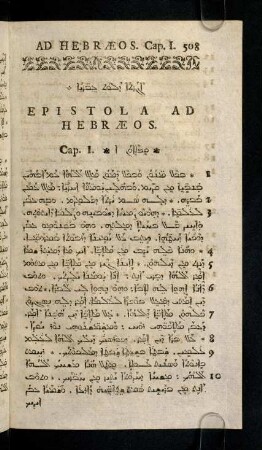 508-530, Epistola Ad Hebraeos
