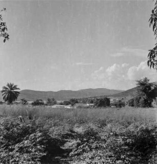 Blick nach Kigoma : Blick über bestellte Felder in Richtung Kigoma