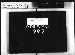 Berufspflichten der Ärzte, Rechtsverhältnisse des Sanitätspersonals (Ärzteordnung), ärztliches Ehrengericht
