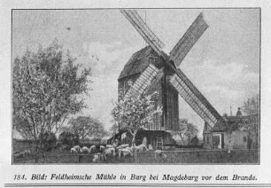 Burg b. Magdeburg. Feldheimische Mühle aus: Die Mühle vom 10. März 1927