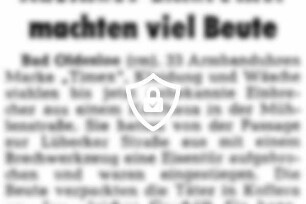 Kaufhaus-Einbrecher machten viel Beute