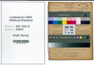 Entnazifizierung Werner Wulff, geb. 10.02.1896 (Kaufmann)