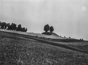 Landwirtschaft : Blick über bestellte Felder