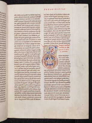 Bewohnte Initiale (de psalmo 119): D(revis psalmus est): Jäger, Drachenbezwinger