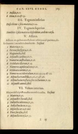 IV. Teegmen superius