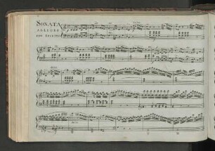 Sonata Allegro con Spirito [Var. I. - Var. V.]
