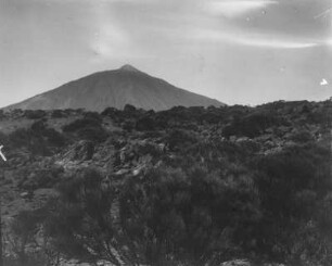 Vulkanlandschaft : Blick auf einen Vulkan, im Vordergrund Vegetation.