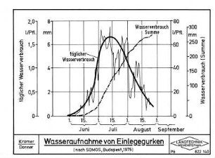 Wasseraufnahme von Einlegegurken