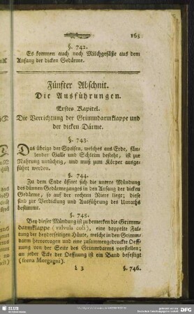 Fünfter Abschnit. Die Ausführungen
