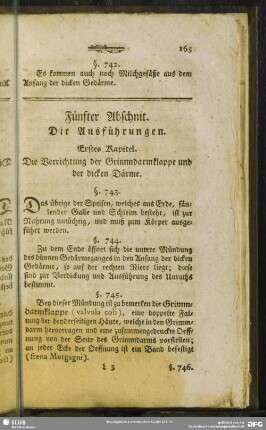 Fünfter Abschnit. Die Ausführungen