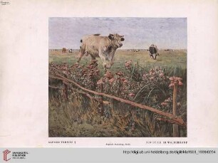 24: Belgische Kunst in der Berliner Secession