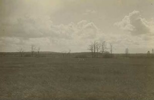 Neudorfer Moor bei Wittichenau
