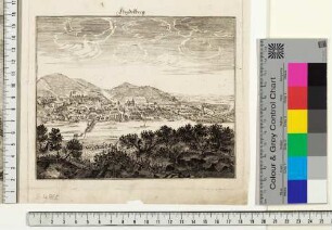 Heidelberg, Blick auf Stadt und Schloss vom Heiligenberg aus