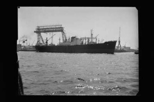 Hein Hoyer (1949), Hanseatische Reederei E. Offen/Hamburg