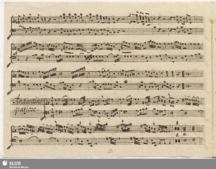 Andantino grazioso