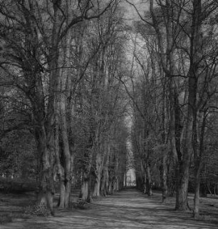 Putbus. Schloßpark