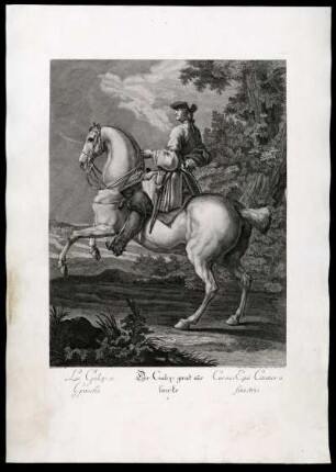 Le Galop a Gauche = Der Galop gerad aus lincks = Cursus Equi Citatior a sinistris