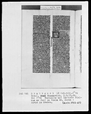 Bibel — Initiale S (alvum me fac), darin David im Wassergraben, Folio 213verso