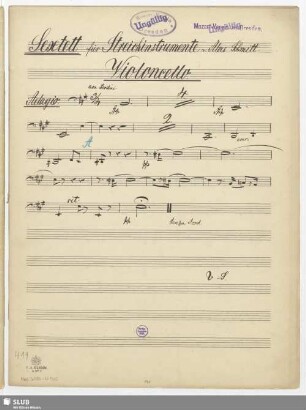 Violoncello.
