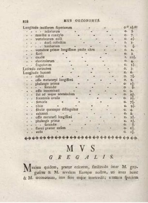 MVS GREGALIS