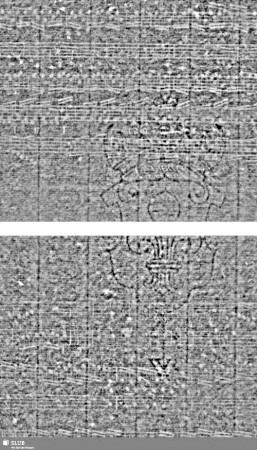 Lilienschild + WR / IV = Cemb.-S.2-4